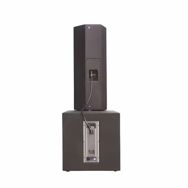Dual 12 Inch High Power Passive Speaker Powered Speakers Monitor Active Portable Professional Audio Outdoor DJ PA Party Speaker - Image 4